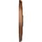 Ekena Millwork Devon Ceiling Medallion (Fits Canopies up to 3 5/8"), 15 3/4"OD x 1 1/2"P, Polished Copper CM15DEPOS - alternate 4